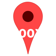 GPS Pin